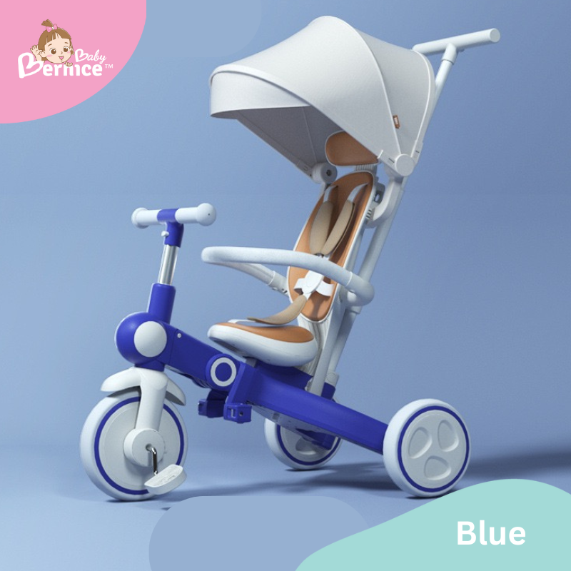 テテティク・プレイ・トライク
Tetetic Multifunction 7 in 1 Trike