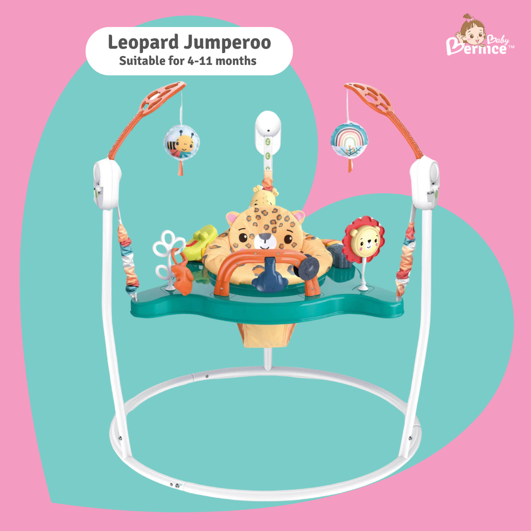 ibaby Jumperoo