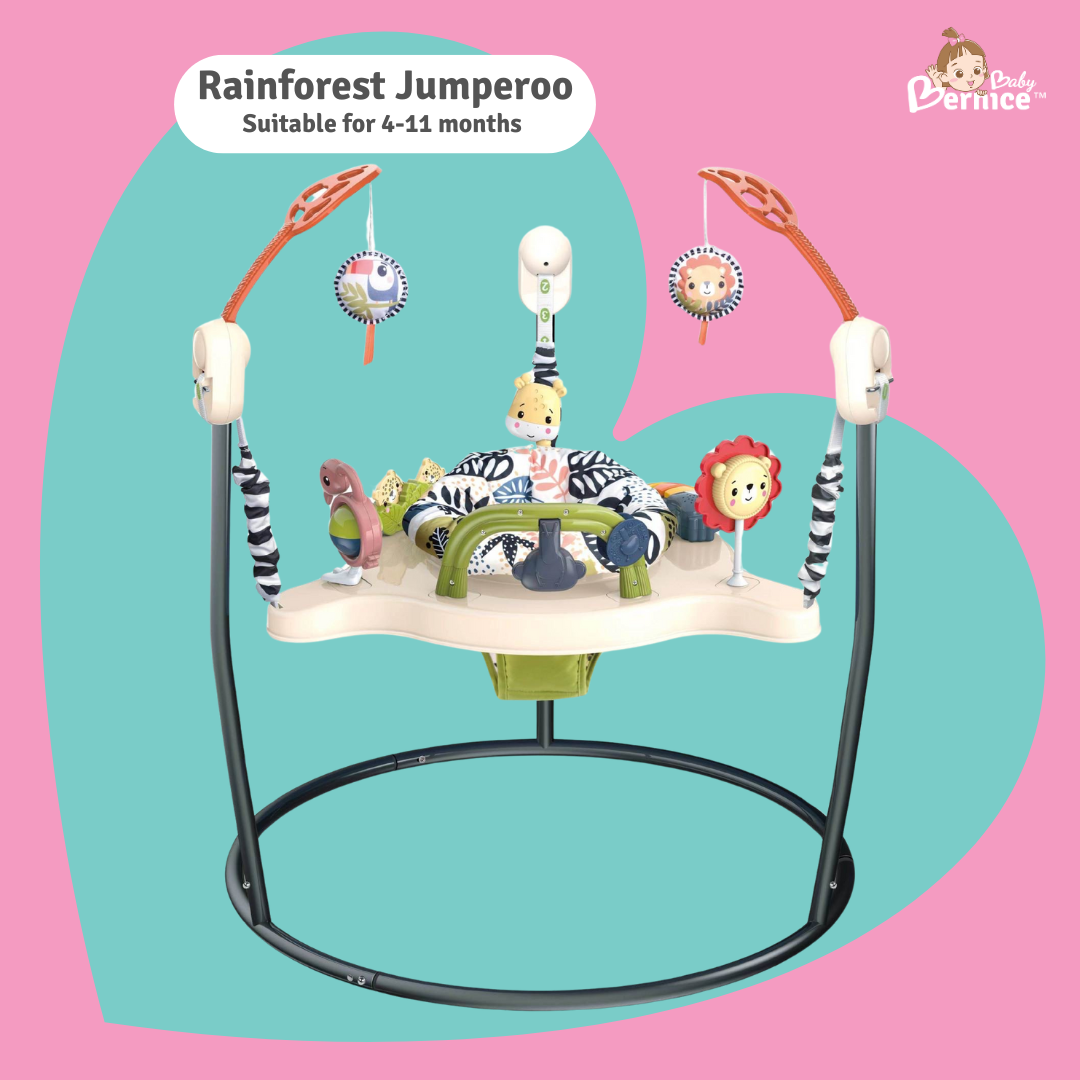 ibaby Jumperoo