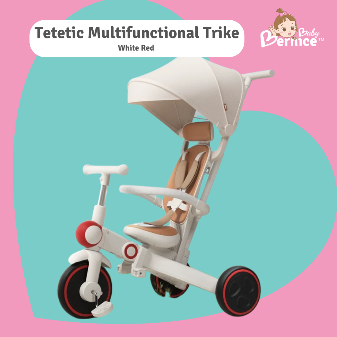 テテティク・プレイ・トライク
Tetetic Multifunction 7 in 1 Trike