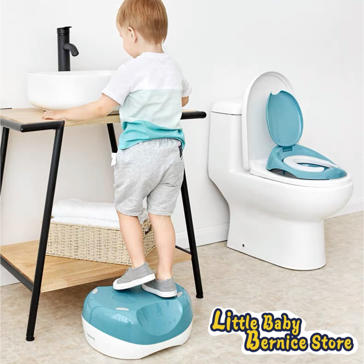 3-in-1 Multi Potty Toilet Seat & Step Stool