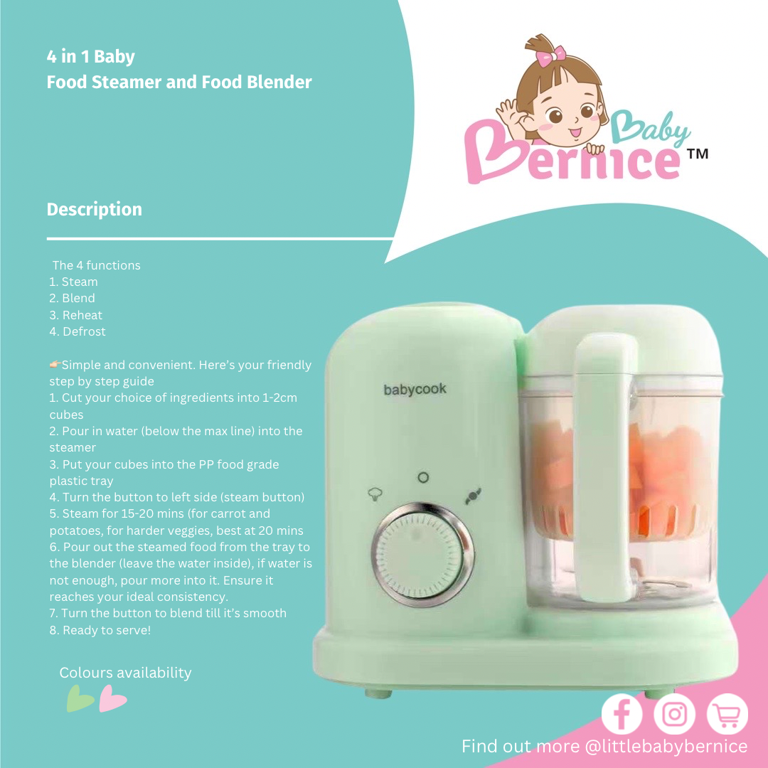 ๐ 4 in 1 Steamer and Blender