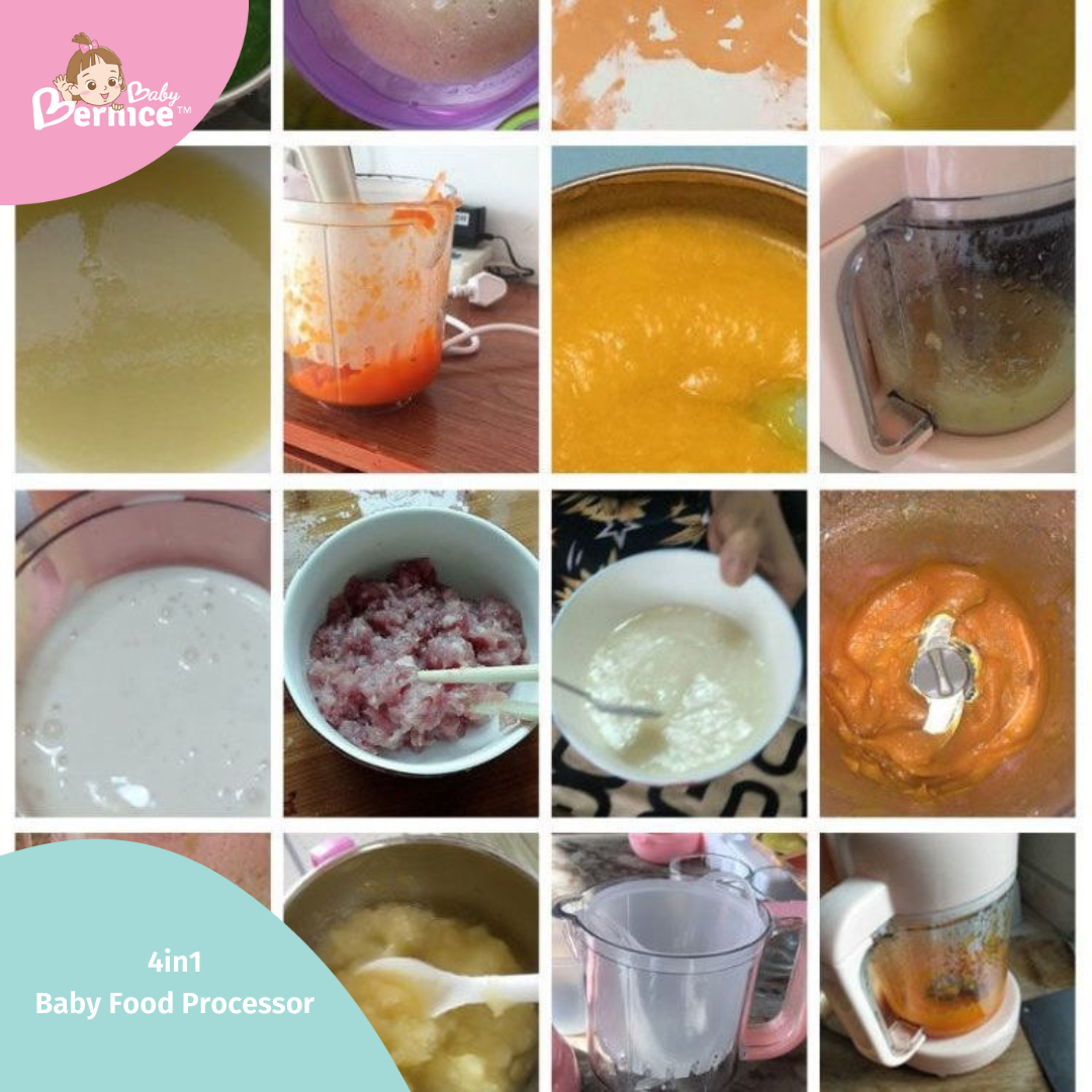 ๐ 4 in 1 Steamer and Blender