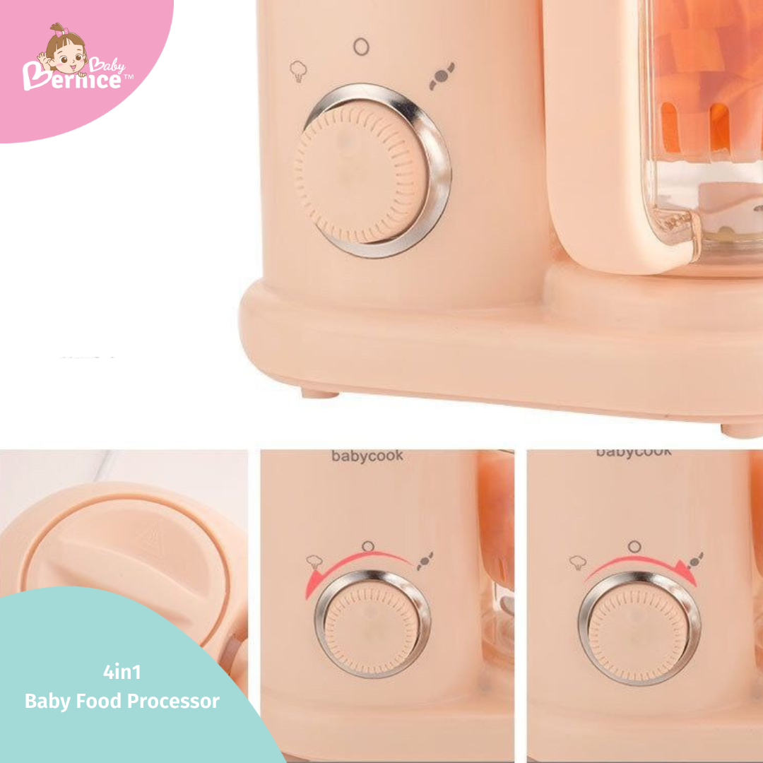 ๐ 4 in 1 Steamer and Blender