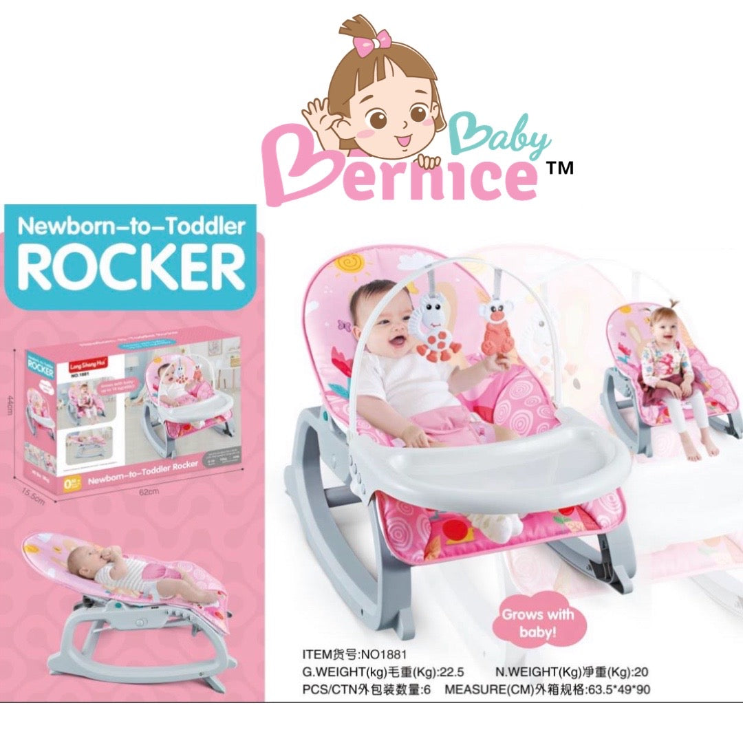 Newborn to Toddler Rocker