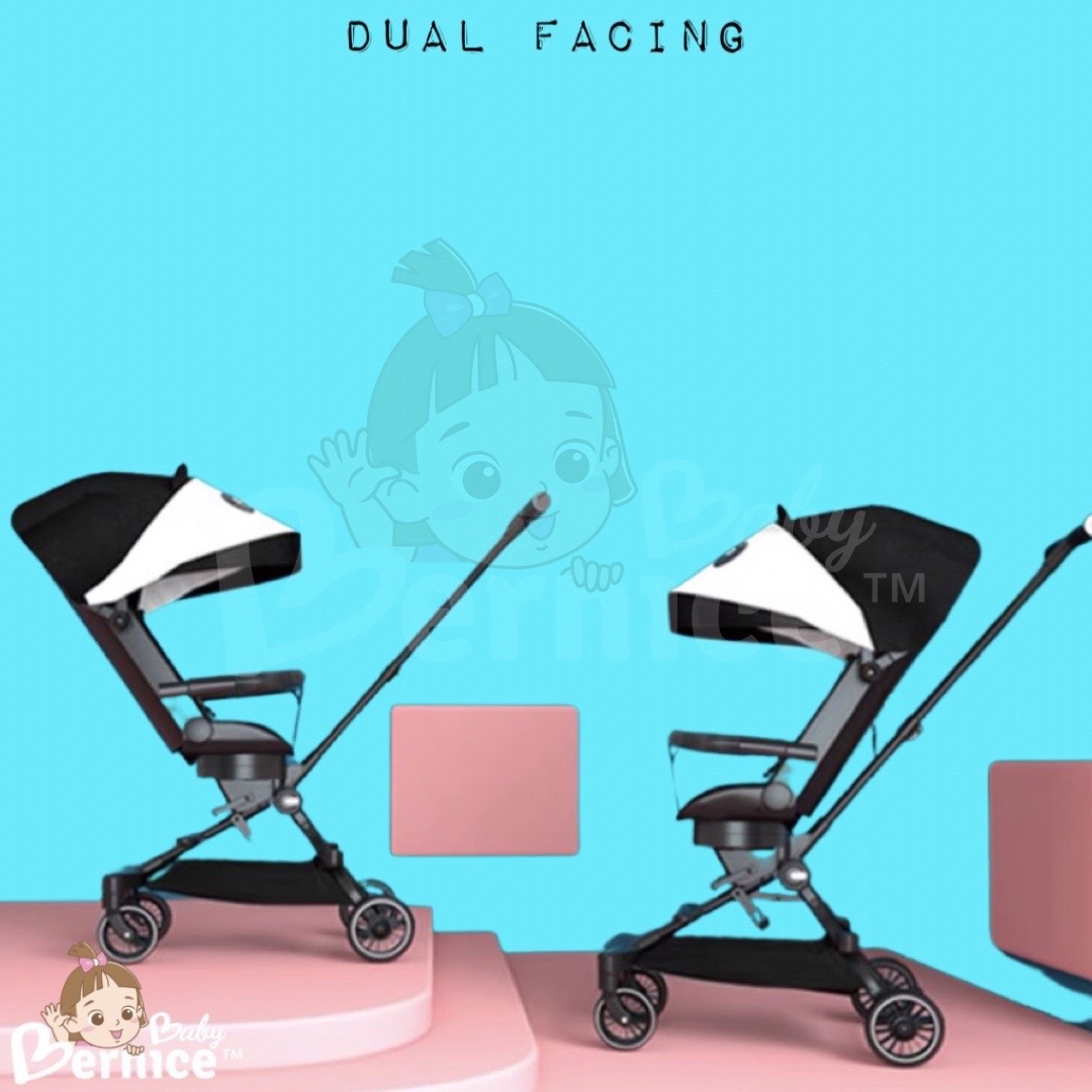 Lightweight Reclinable Stroller