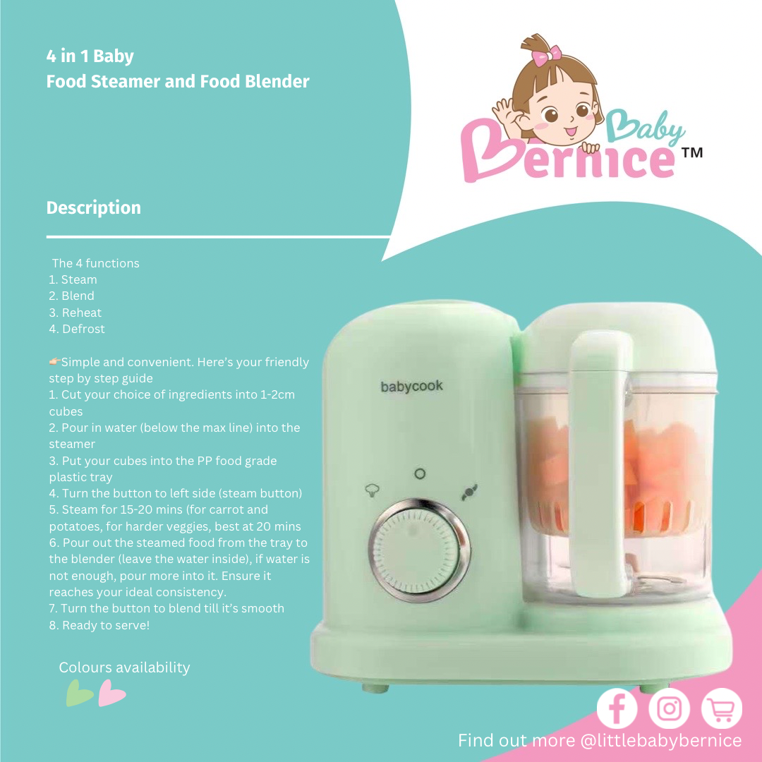 🍉 4 in 1 Steamer and Blender