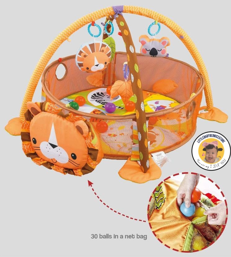 3 in 1 Baby Activity Gym and Activity Ball Pit