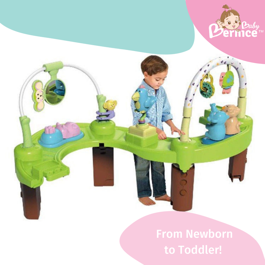 Baby View 3 in 1 Activity Centre From Newborn to Toddler