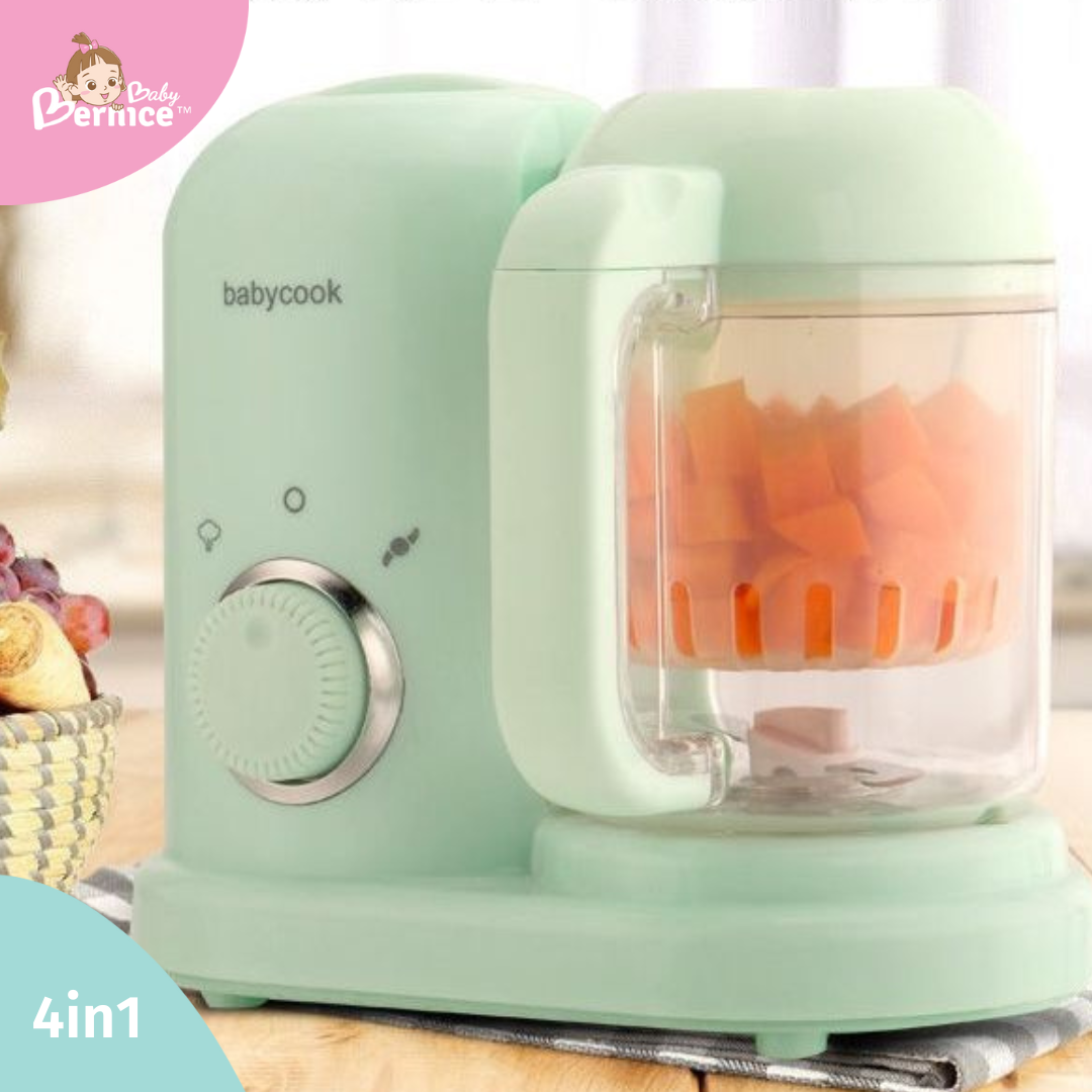 🍉 4 in 1 Steamer and Blender