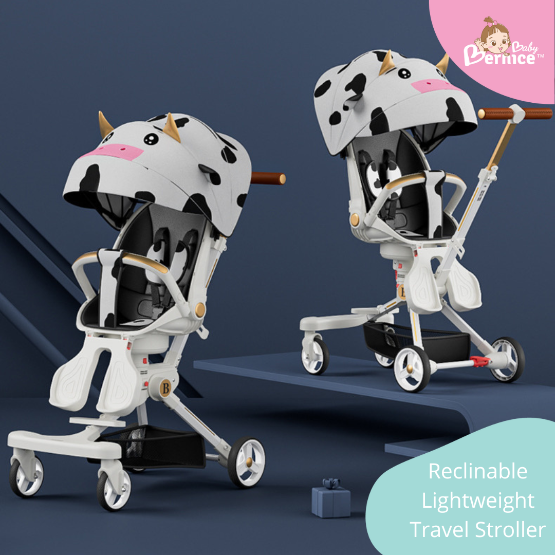 Reclinable Dual Facing Travel Stroller