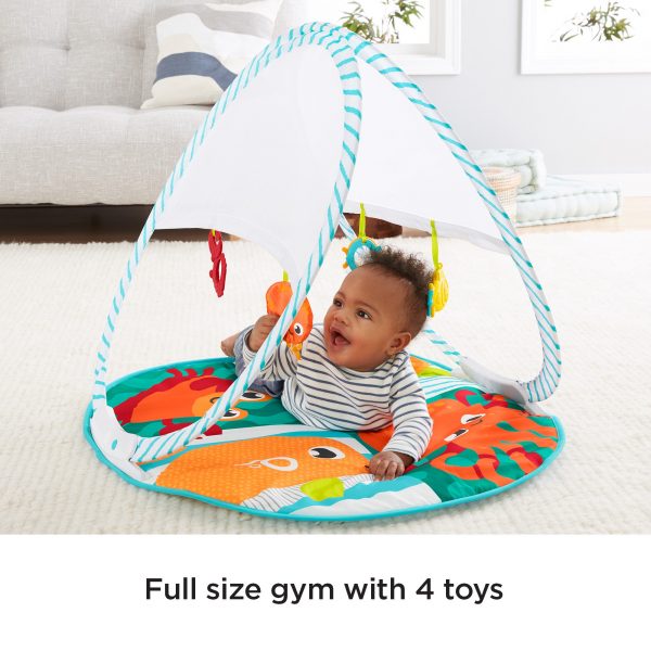 [INSTOCK] Fisher-Price Fold & Go Portable Gym