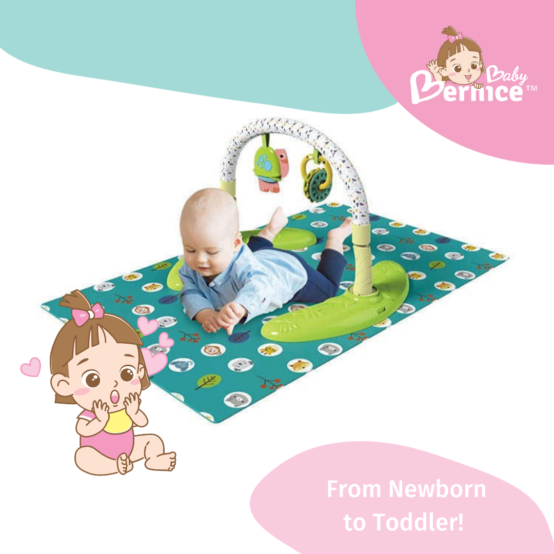 Baby View 3 in 1 Activity Centre From Newborn to Toddler